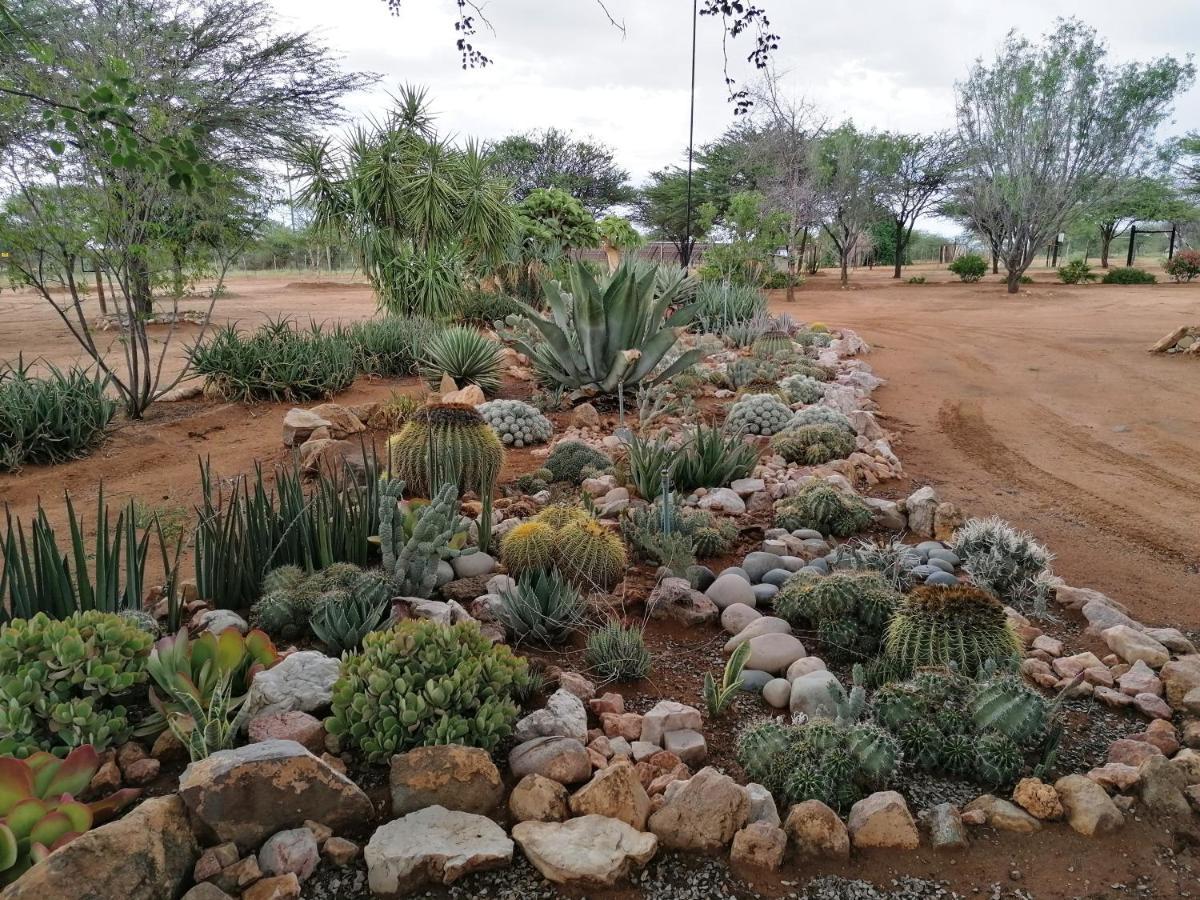 Lion'S Den Guesthouse Otjiwarongo Exterior foto